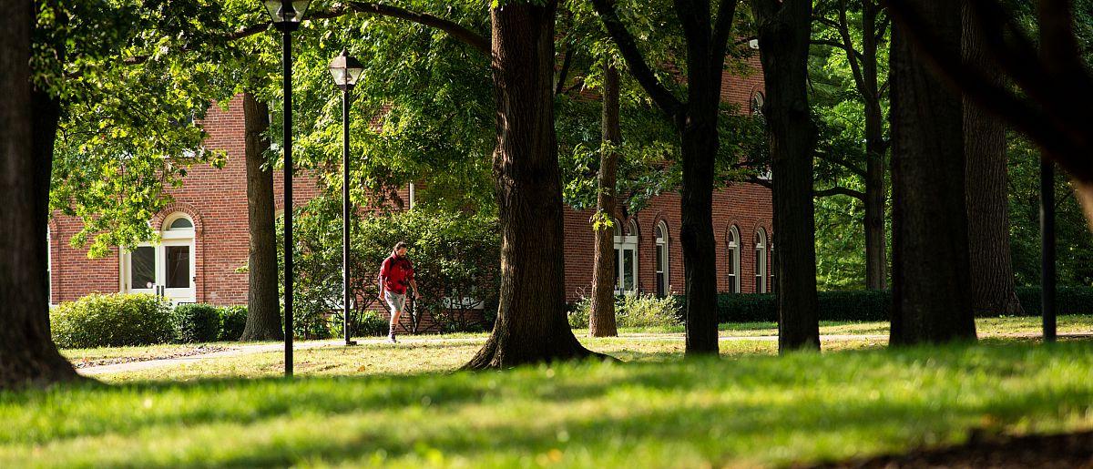 Image of university building through the trees. Loan student walking.